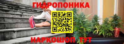 ешки Анжеро-Судженск