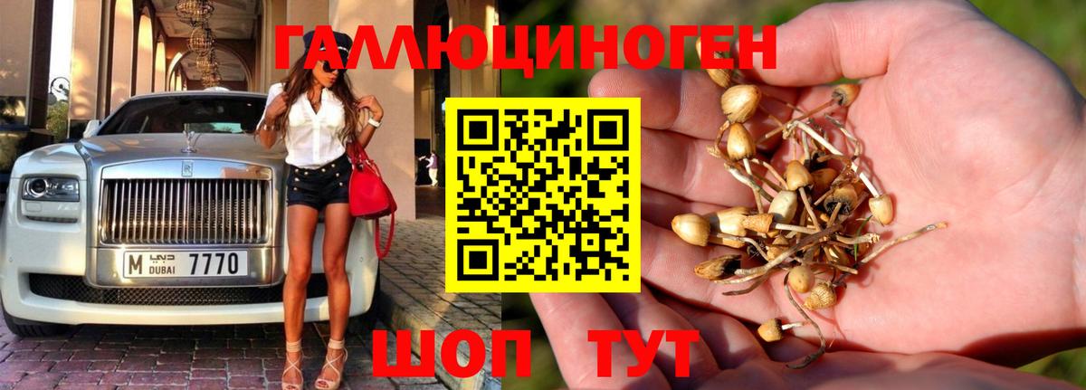 Псилоцибиновые грибы ЛСД Железноводск